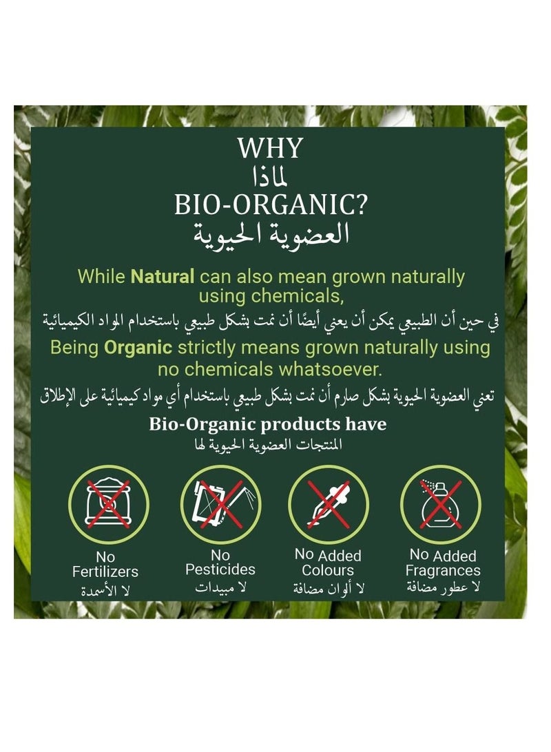 Indus Valley Bio Organic Natural Halal Certified Sandalwood Powder Face Pack Skin Treatment, 100gram