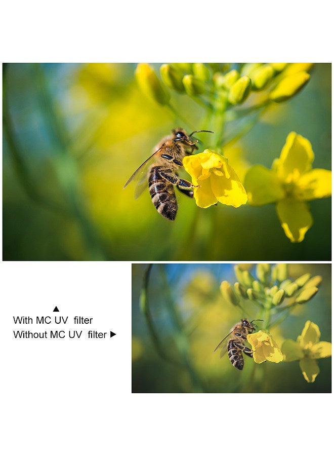 62mm Ultra Slim Multi Coated MC UV HD Lens Filter Compatible with Canon Nikon Sony DSLR Camera Lens