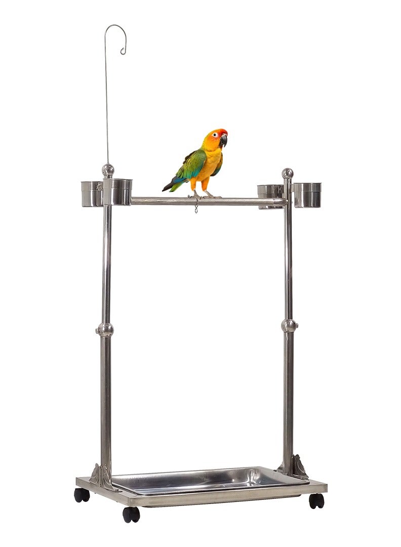 Bird stand, Adjustable stainless steel parrot stand Toy hook, Food bowls, Standing perch, Removable tray, and universal wheels, Bird play stand for indoor and outdoor 141 cm (Silver)