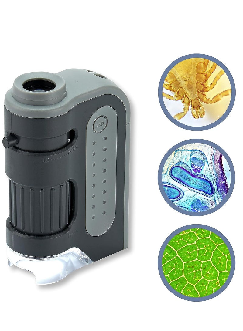 Carson MicroBrite Plus 60x-120x Accurate LED Lighted Pocket Microscope, Portable Educational STEM Toy, Mini Handheld Microscope for Student Science Lab (MM-300)