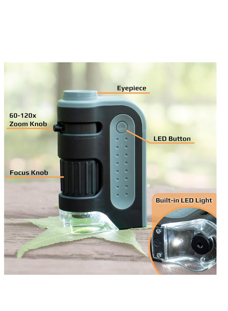 Carson MicroBrite Plus 60x-120x Accurate LED Lighted Pocket Microscope, Portable Educational STEM Toy, Mini Handheld Microscope for Student Science Lab (MM-300)