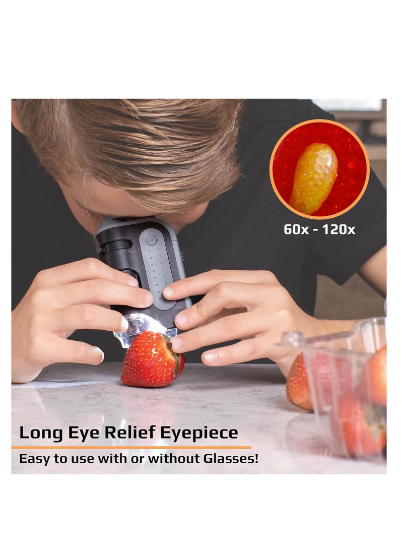 Carson MicroBrite Plus 60x-120x Accurate LED Lighted Pocket Microscope, Portable Educational STEM Toy, Mini Handheld Microscope for Student Science Lab (MM-300)