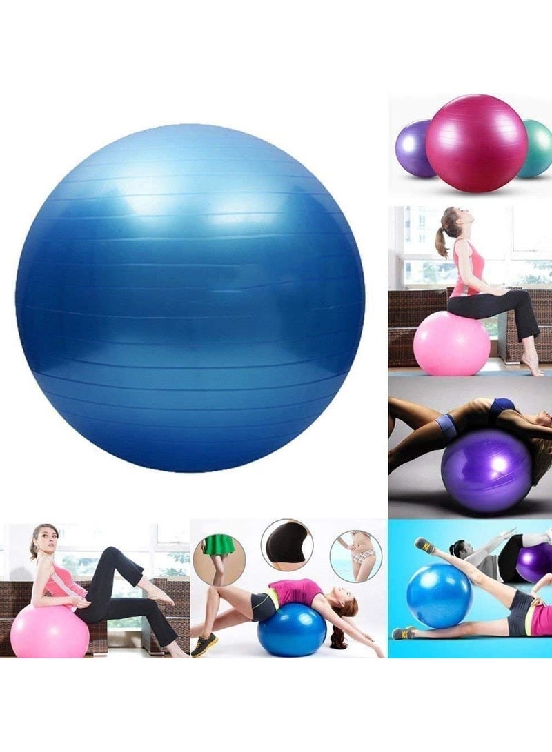 Fide Anti Burst Exercise Gym Ball With Pump Anti Slip Balance Stability Ball Extra Thick Swiss Birthing Ball, Exercise Equipment For Home Exercise Ball 75 Cm 1 Piece Multicolor