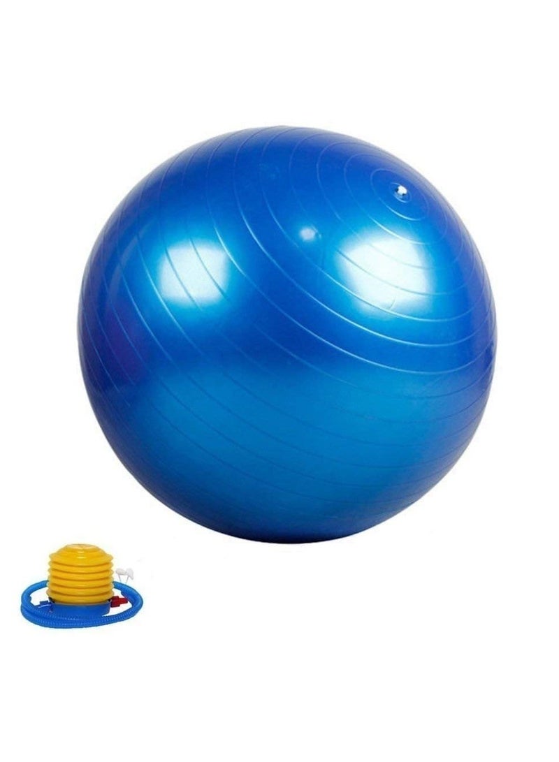 Fide Anti Burst Exercise Gym Ball With Pump Anti Slip Balance Stability Ball Extra Thick Swiss Birthing Ball, Exercise Equipment For Home Exercise Ball 75 Cm 1 Piece Multicolor