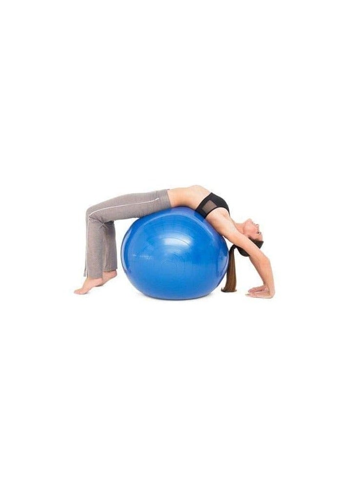 Fide Anti Burst Exercise Gym Ball With Pump Anti Slip Balance Stability Ball Extra Thick Swiss Birthing Ball, Exercise Equipment For Home Exercise Ball 75 Cm 1 Piece Multicolor