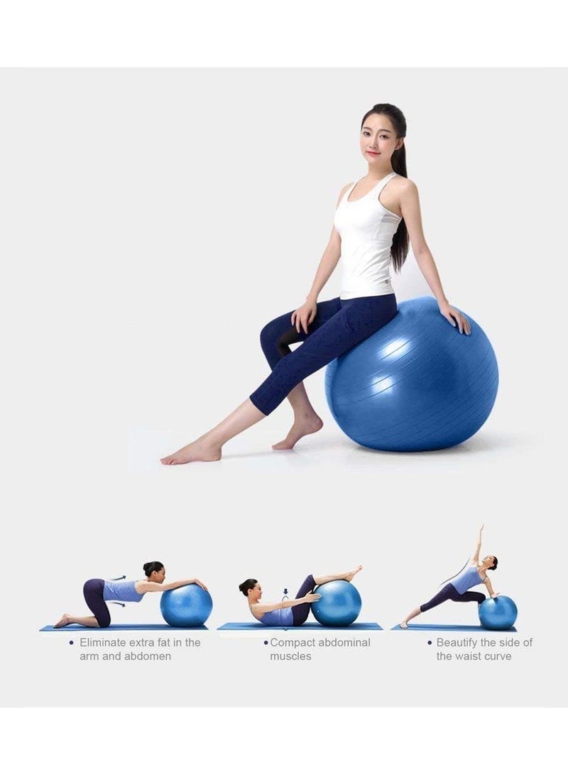 Fide Anti Burst Exercise Gym Ball With Pump Anti Slip Balance Stability Ball Extra Thick Swiss Birthing Ball, Exercise Equipment For Home Exercise Ball 75 Cm 1 Piece Multicolor