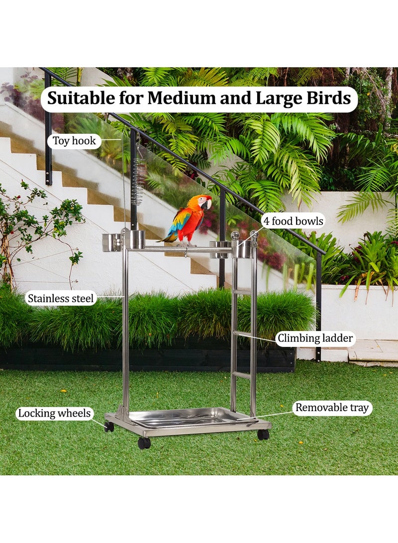 Stainless steel parrot stand with Toy hook, Feeding bowls, Removable tray, Climbing ladder, and Universal wheels, Bird Play stand suitable for medium and large parrots 126 cm (Silver)