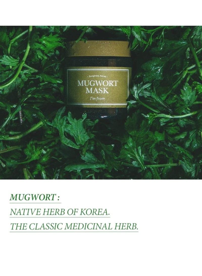 I'M FROM Mugwort Mask 110g, K-Beauty