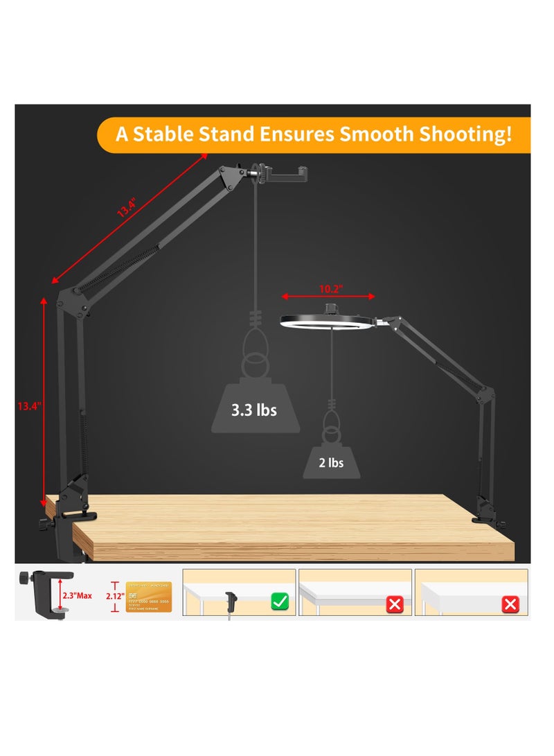 Overhead Camera Mount with 10