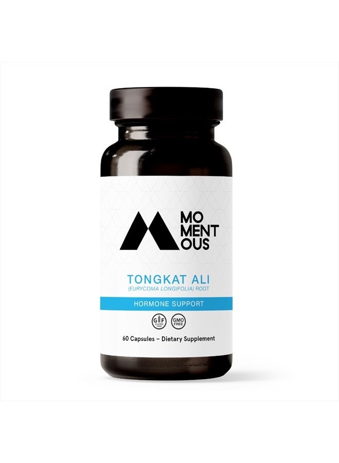 Tongkat Ali - Natural Performance Supplement for Health and Wellness - Hormone, Energy, & Mood Support - Rainforest Derived Tongkat Ali Root Extract Powder (30 Servings)