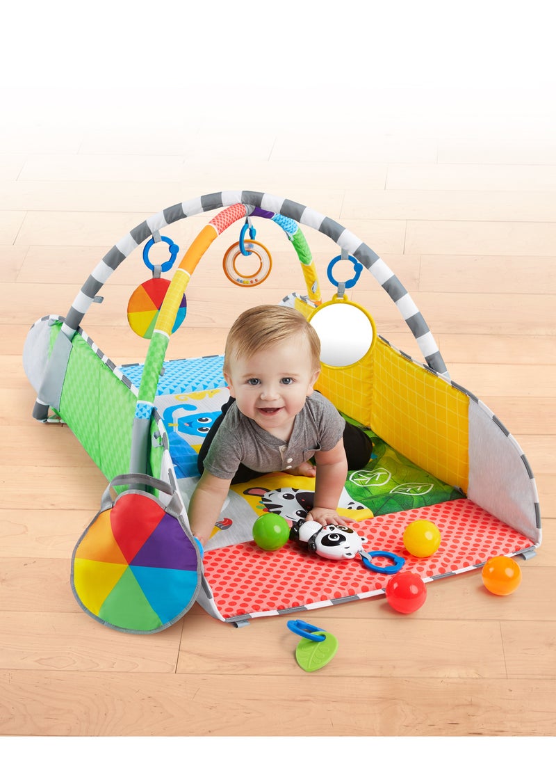 Patchs 5-in-1 Color Playspace Activity Gym & Ball Pit
