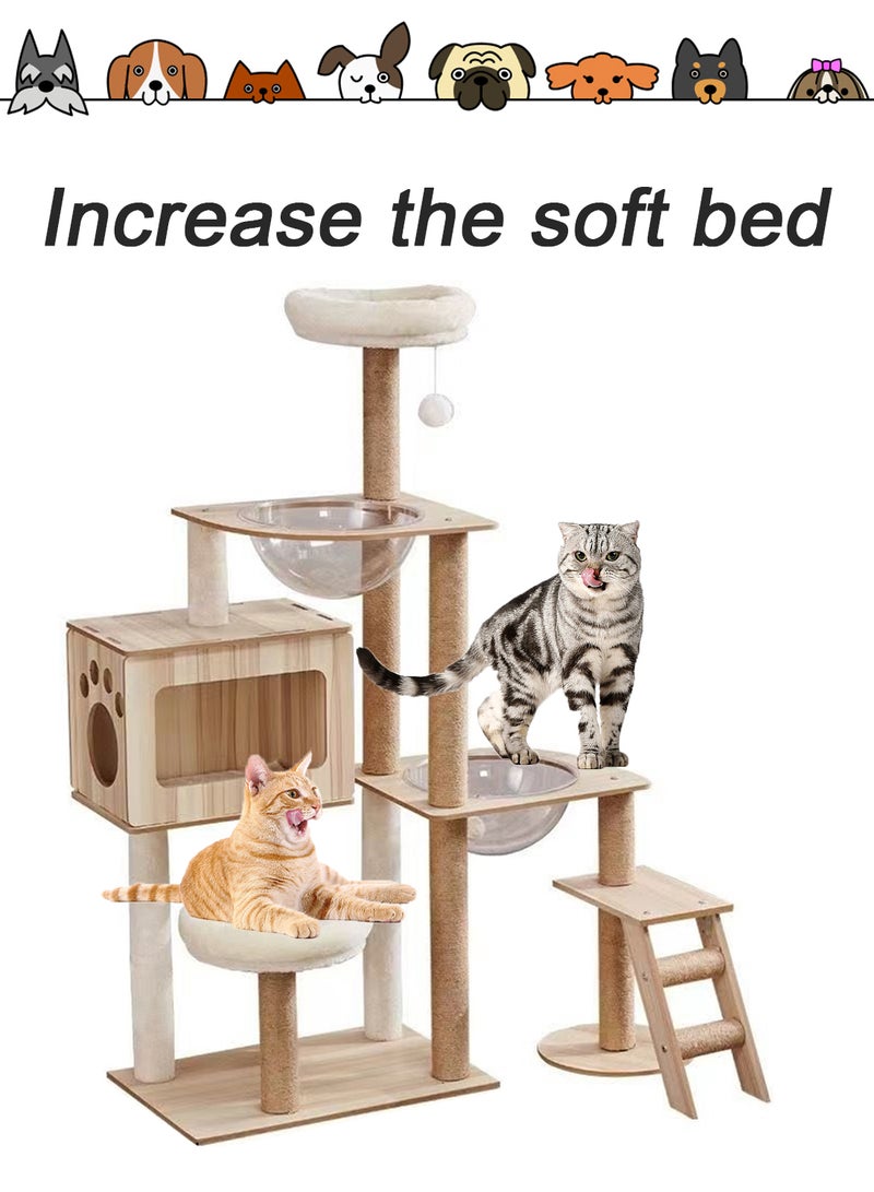 Cat Climbing Frame Transparent Capsule Cat Nest Cat Tree Multi-Level Cat Tower Cat House Activity Center Condo Cat Scratching Post Cat Toys