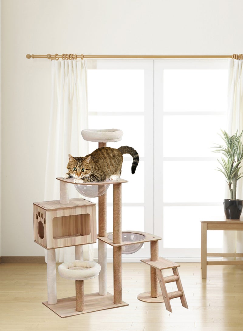 Cat Climbing Frame Transparent Capsule Cat Nest Cat Tree Multi-Level Cat Tower Cat House Activity Center Condo Cat Scratching Post Cat Toys