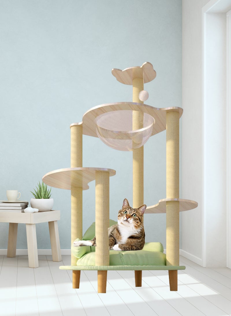 Large Cat Climbing Frame Large Cat Villa Transparent Capsule Cat Tree Cat Sofa Cat House Cat Jumping Platform Cat Scratching Board Cat Nest Sisal Cat Scratching Post Cat Toys