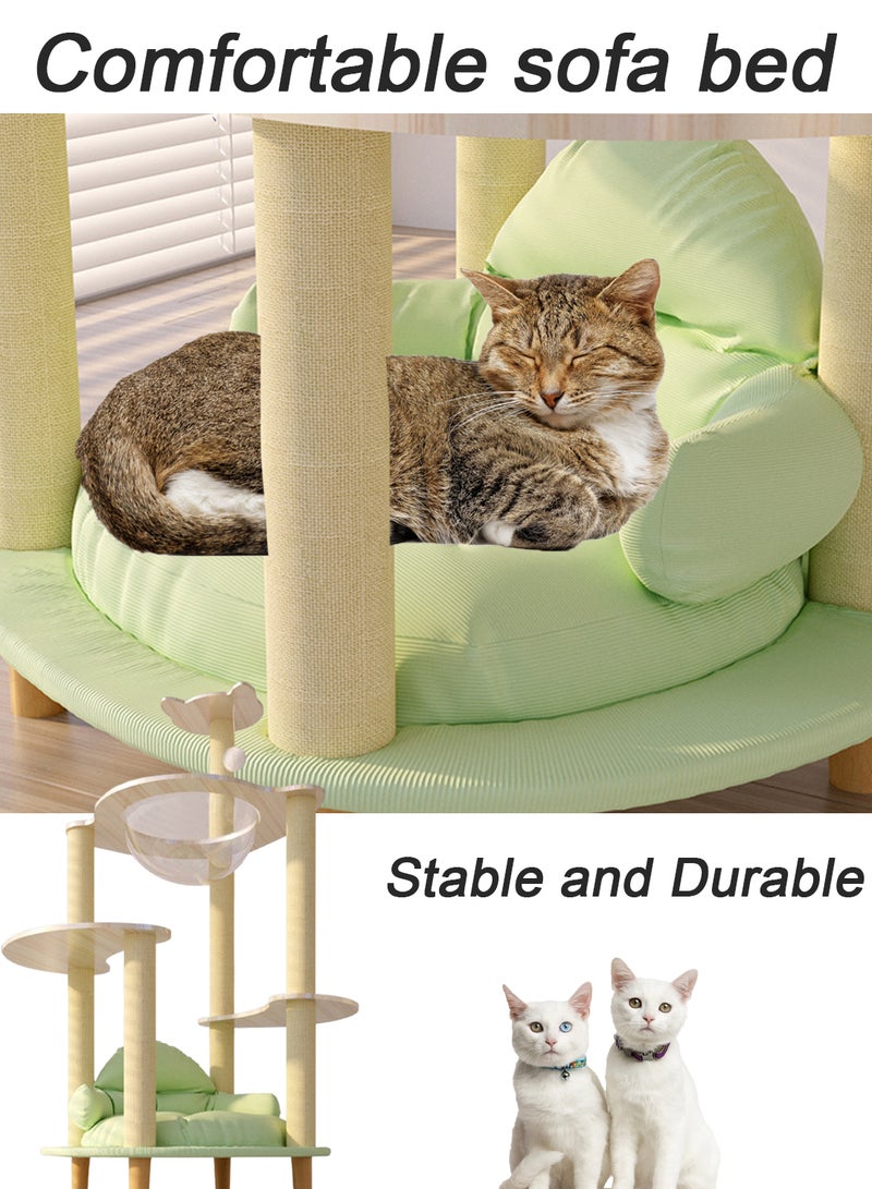 Large Cat Climbing Frame Large Cat Villa Transparent Capsule Cat Tree Cat Sofa Cat House Cat Jumping Platform Cat Scratching Board Cat Nest Sisal Cat Scratching Post Cat Toys