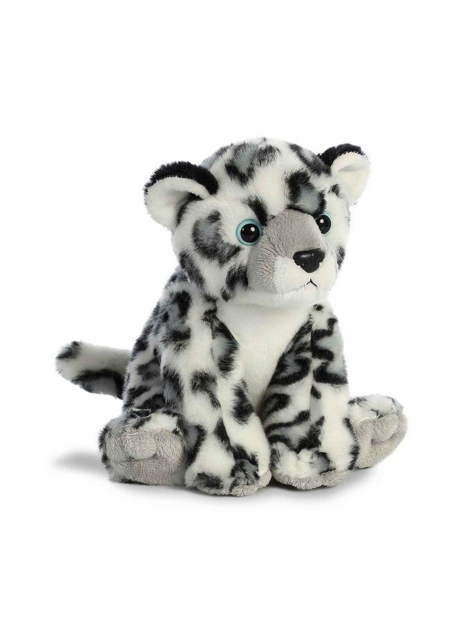 Aurora Destination 8