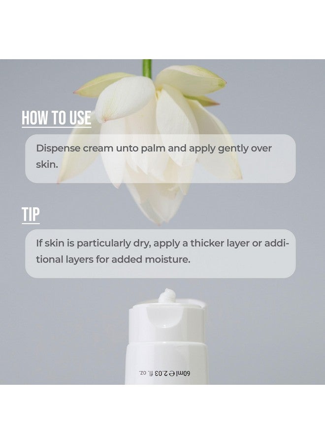 Calming Lotus Water Cream Lightweight Face Moisturizer For Oily Combination Skin 75% Lotus Water Extract For Skin Purifying Antiaging Vegan Korean Skincare (2.1 Fl.Oz) [2 Pack]