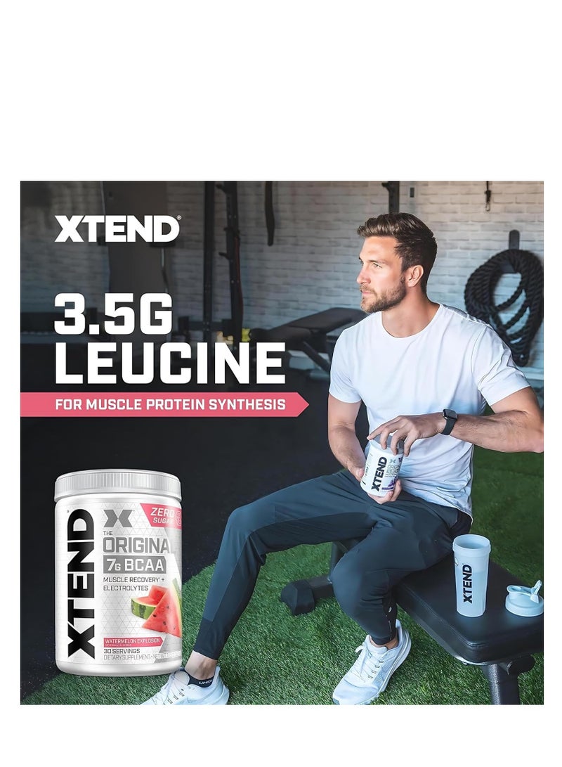 Xtend Original - BCAA Powder + Electrolytes, For Athletes, Watermelon Flavor, 30 Servings