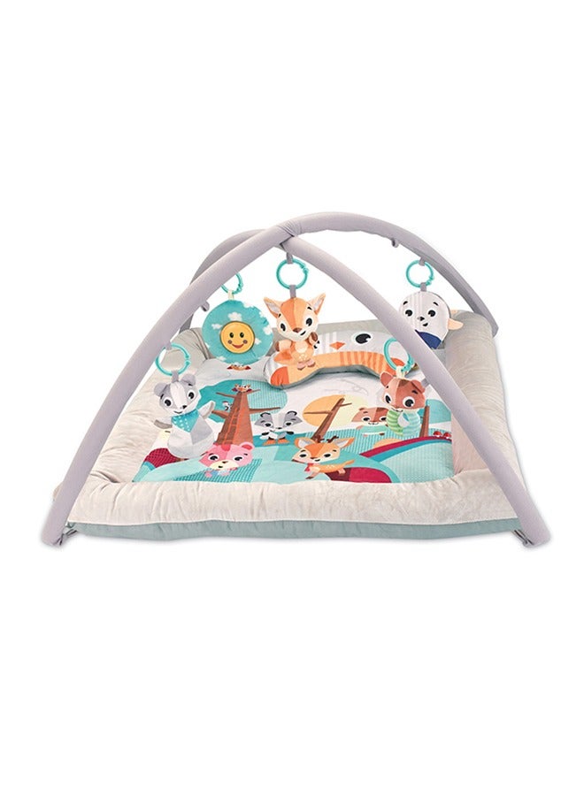 Baby Activity Play Mat Gym With Hanging Toys