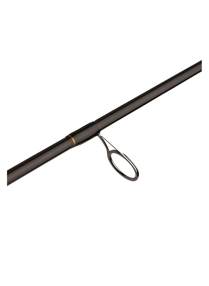 PENN Wrath™ Spinning Rod 10FT (20-80g)