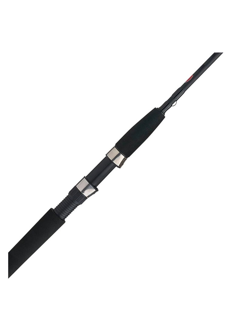 PENN Wrath™ Spinning Rod 10FT (20-80g)