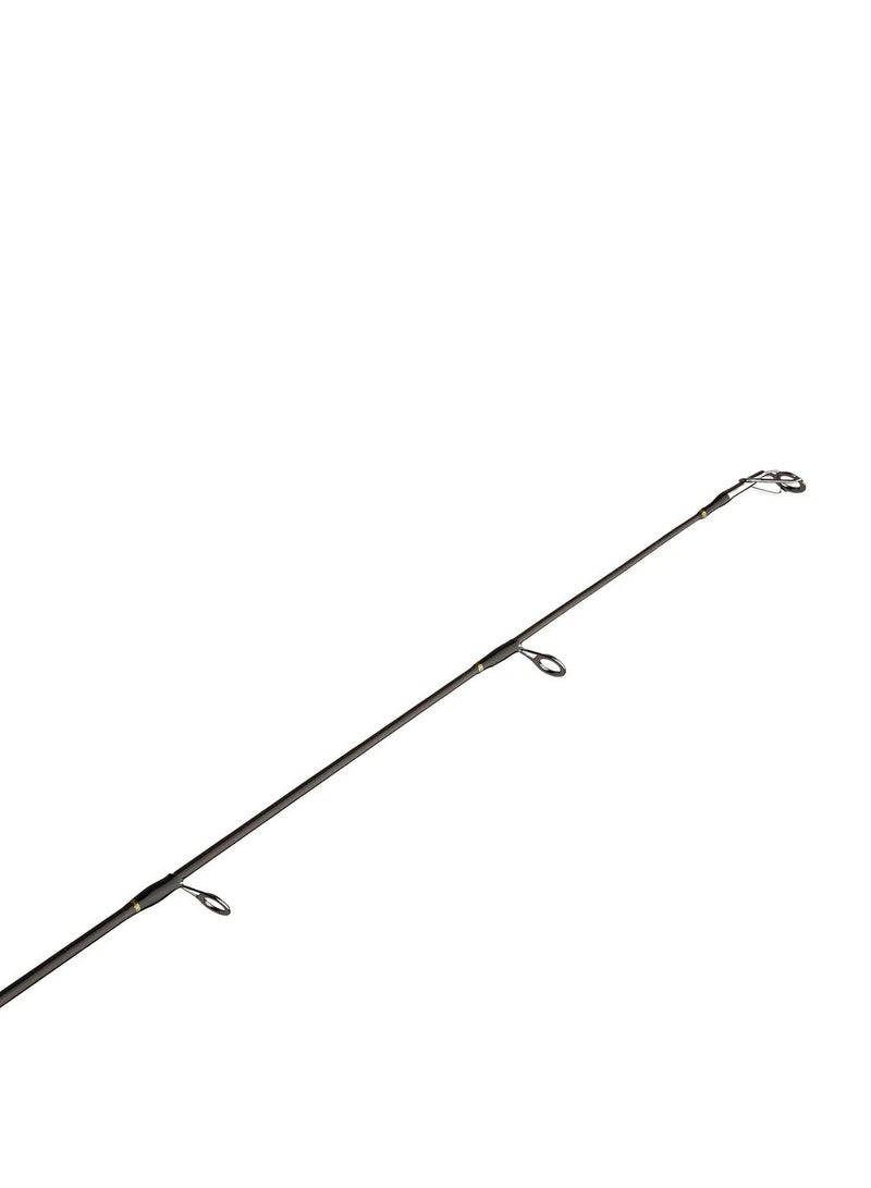 PENN Wrath™ Spinning Rod 10FT (20-80g)