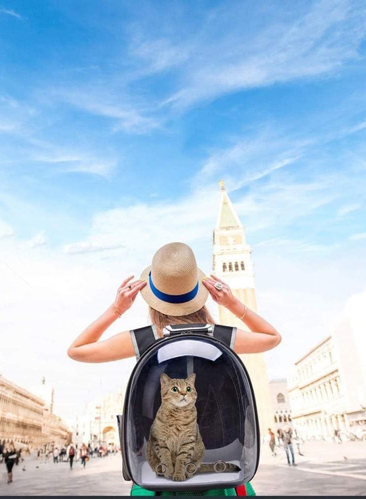 Transparent Pet Travel Backpack - Comfortable Outdoor Hiking Carrier for Small Cats and Dogs
