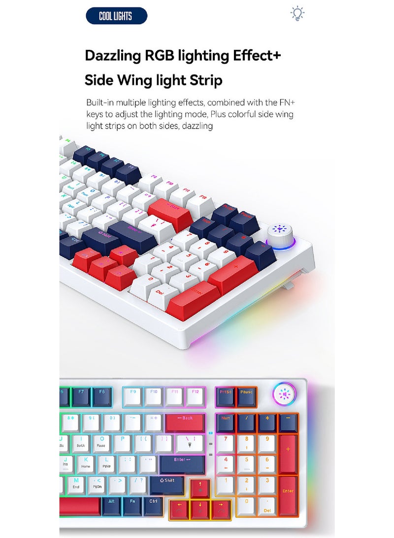 96-Key Mechanical Keyboard - Hot Swap - Blue Switch -  2.4GHz/Bluetooth/Type-C Wired - Gaming Keyboard - Office Keyboard - RGB Lighting Effect - Computer Keyboard