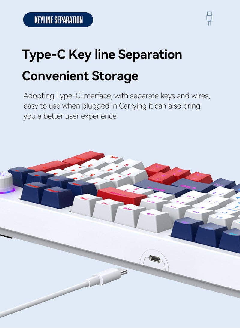 96-Key Mechanical Keyboard - Hot Swap - Blue Switch -  2.4GHz/Bluetooth/Type-C Wired - Gaming Keyboard - Office Keyboard - RGB Lighting Effect - Computer Keyboard