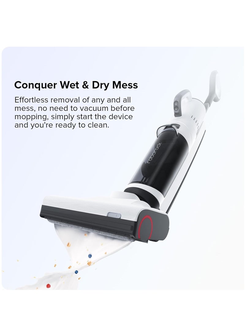 Wet and Dry Vacuum Cleaner Dyad Air,17000Pa Power Suction,Edge Cleaning,Vanquish Wet and Dry Messes, Self-Cleaning & Drying System for Hardwood Floor-White 900 ml 260 W WD2H2A White/Black