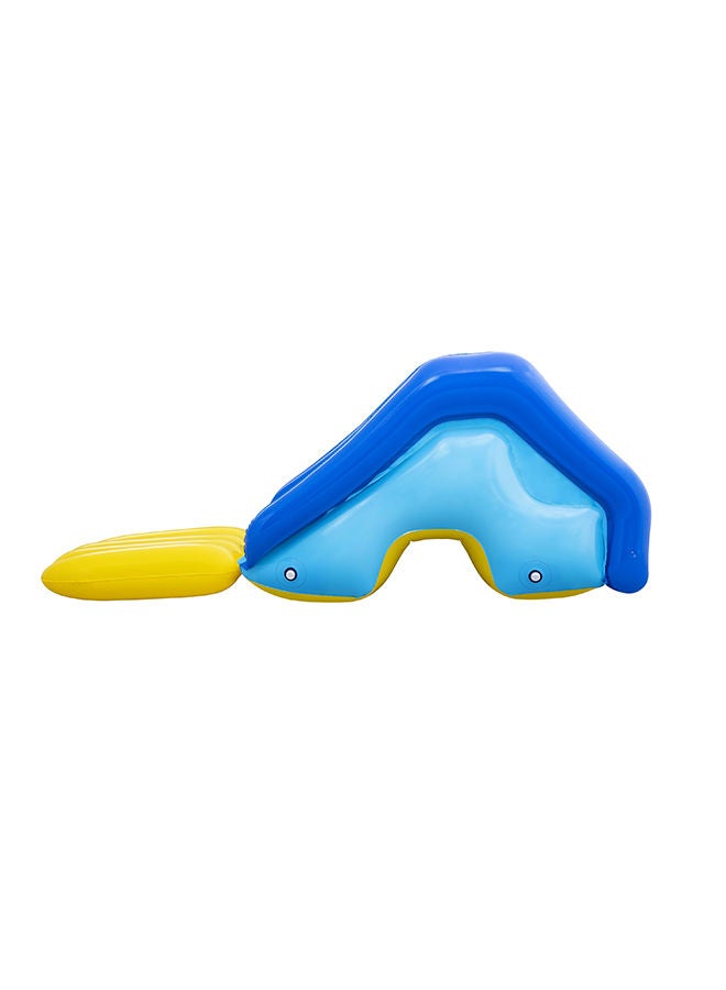 Bouncer Water Slide 247x124x100 Cm