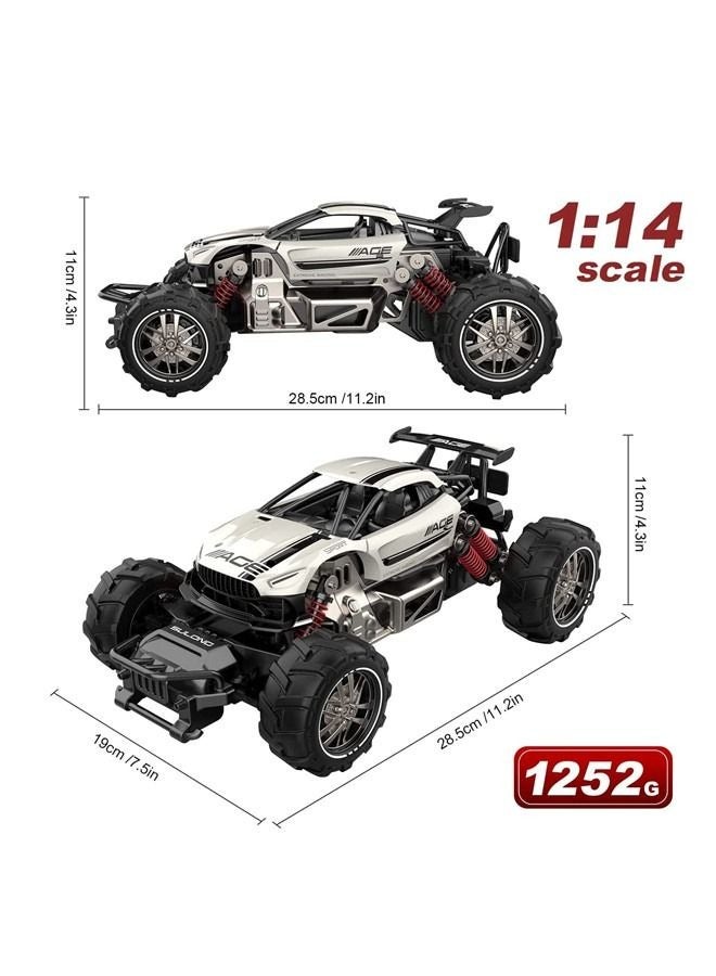 RC Cars Remote Control Car