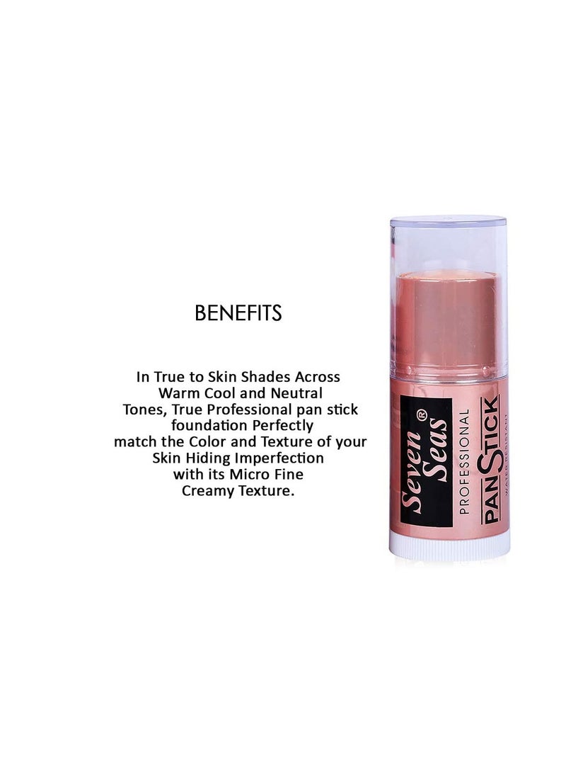 Seven Seas Panstick Foundation Perfect Match Panstick Foundation  Lightweight  Full Coverage Foundation With Natural And Dewy Finish For Face Makeup Easy To Apply With Hand Stick Applicator skin