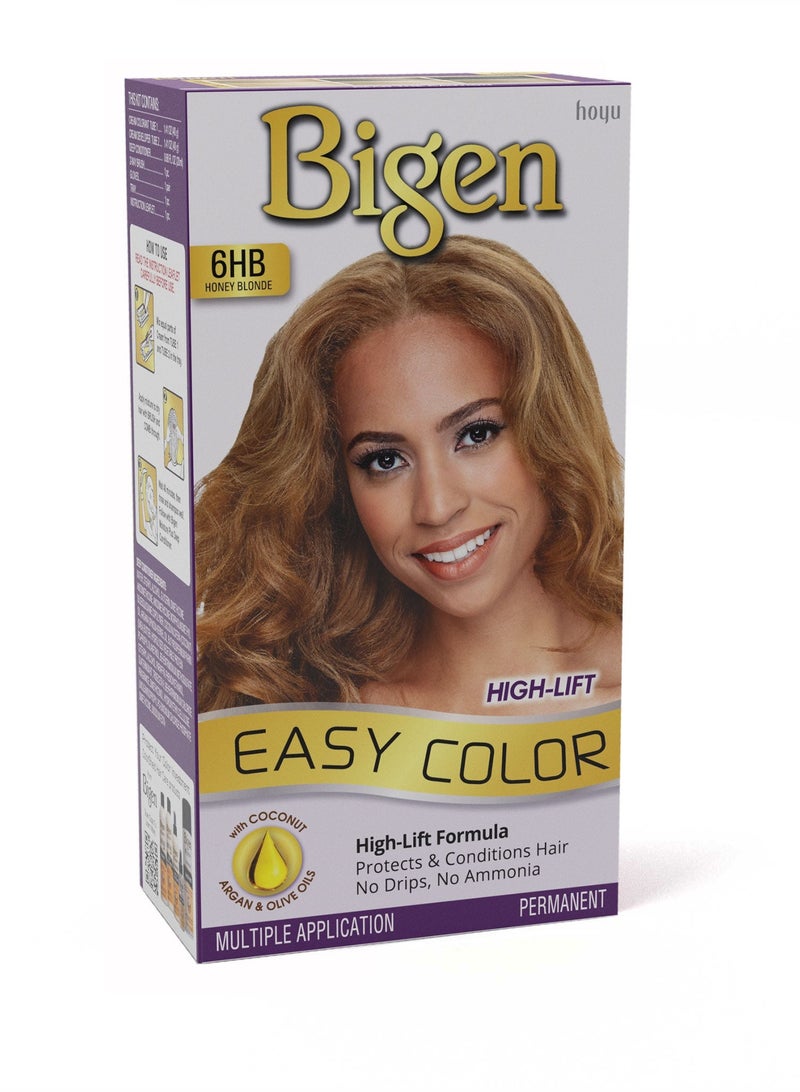 Easy Color Honey Blonde 6HB