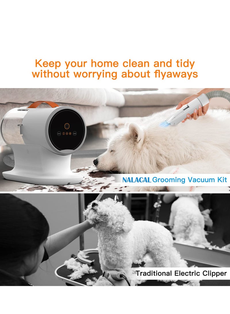 Pet Grooming Vacuum with 2L Capacity, 12000Pa High-Power and Quiet, Includes 5 Tools for Dogs and Cats, Ideal for Shedding and Grooming