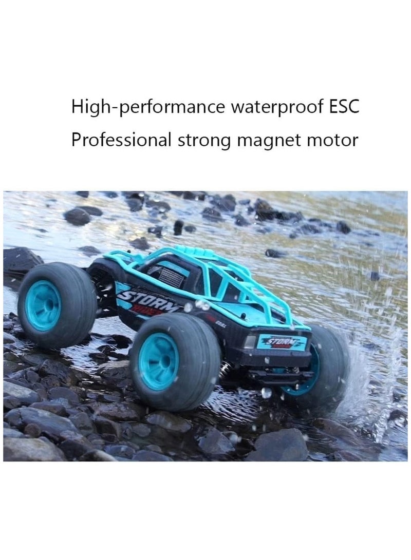 SAM Toys - 1:14 High speed RC car Hobby Line Storm Riders Red/Blue