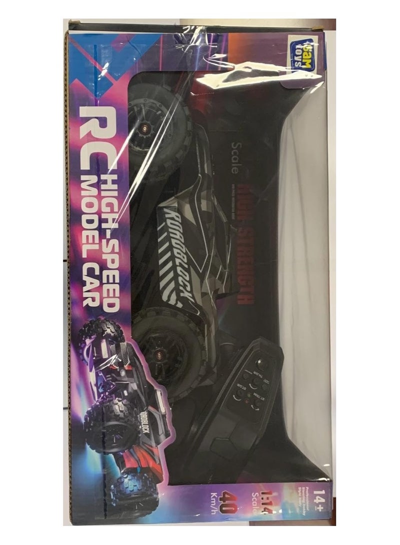 RC High Speed Model Car
