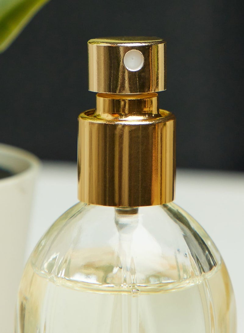 Gift Box 25 Ml Ambra 2022