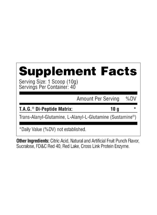 T.A.G. Trans Alanyl Glutamine 400g - Fruit Punch