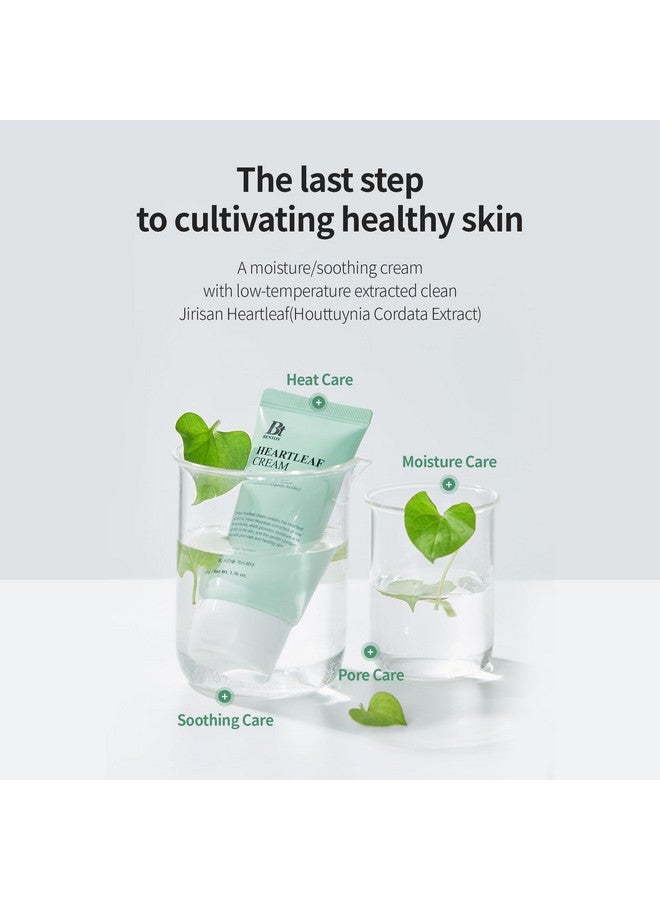 Heartleaf Cream With Ceramide Hyaluronic Acid Moisturizer Soothing And Pore Care Effect For All Skin Types Ph 5.5 Nonirritating (1.76 Oz)