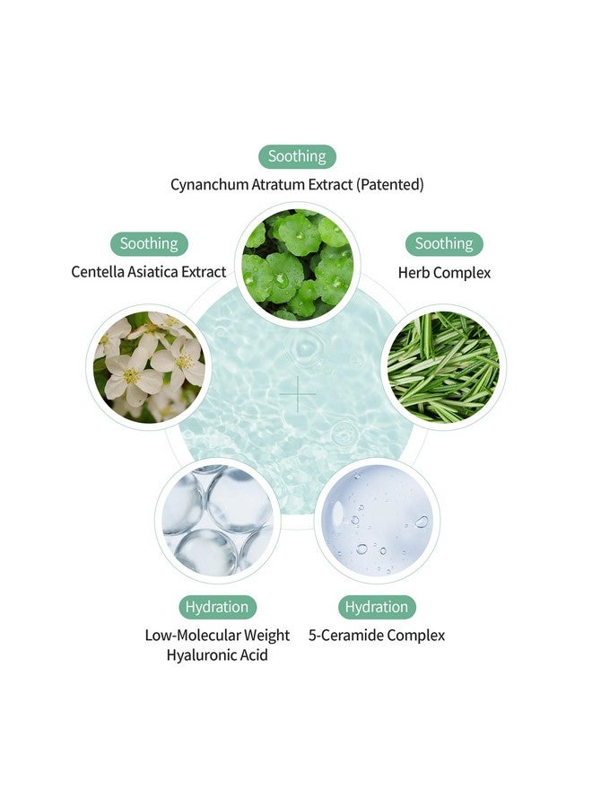 Heartleaf Cream With Ceramide Hyaluronic Acid Moisturizer Soothing And Pore Care Effect For All Skin Types Ph 5.5 Nonirritating (1.76 Oz)