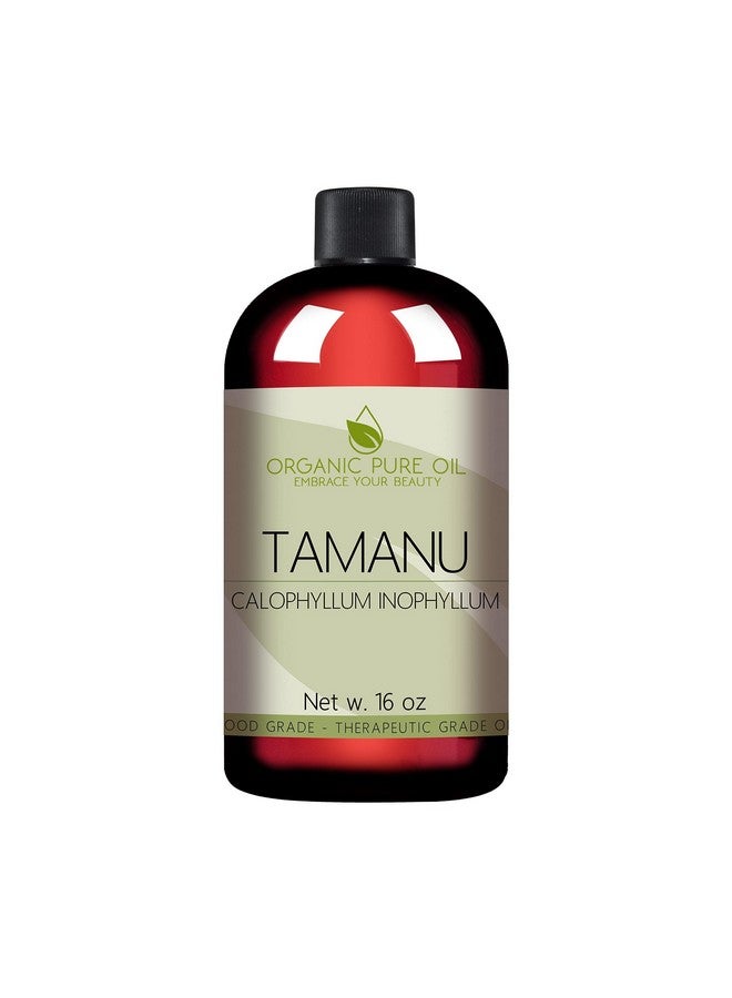 Tamanu Oil 100% Pure Uncut Organic Sourced Unrefined Nongmo Cold Pressed Nut Carrier Oil For Skin Hair Nails Body Face Diy Cosmetic Premium Grade A 16 Oz Hydrating Moisturizing