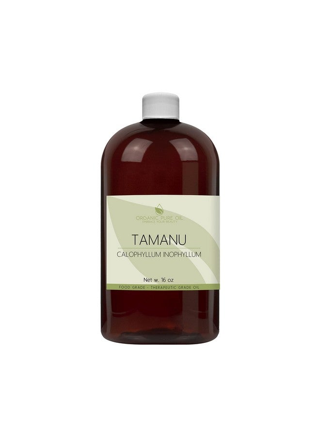 Tamanu Oil 100% Pure Uncut Organic Sourced Unrefined Nongmo Cold Pressed Nut Carrier Oil For Skin Hair Nails Body Face Diy Cosmetic Premium Grade A 16 Oz Hydrating Moisturizing