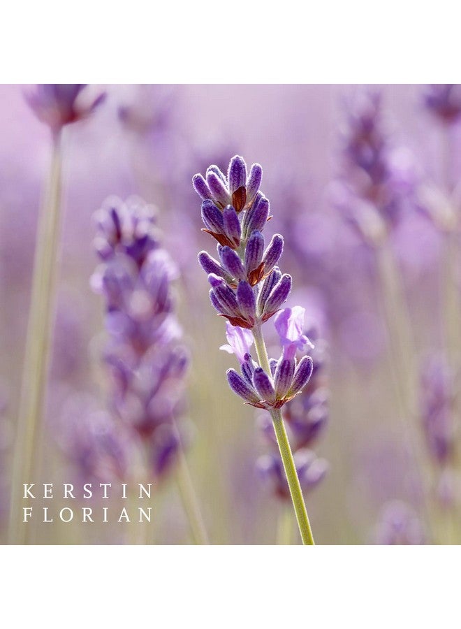 Organic Clarifying Lavender Facial Oil Balancing Face Moisturizing With Sea Buckthorn Argan And Jojoba Oils For All Skin Types (1 Fl Oz)