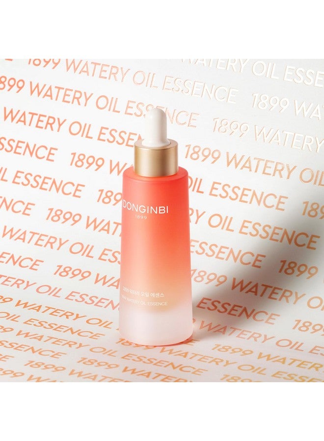 Red Ginseng 1899 Watery Oil Essence (30Ml) Fast Absorbance Facial Essence For Skin Glow With Red Ginseng Oil