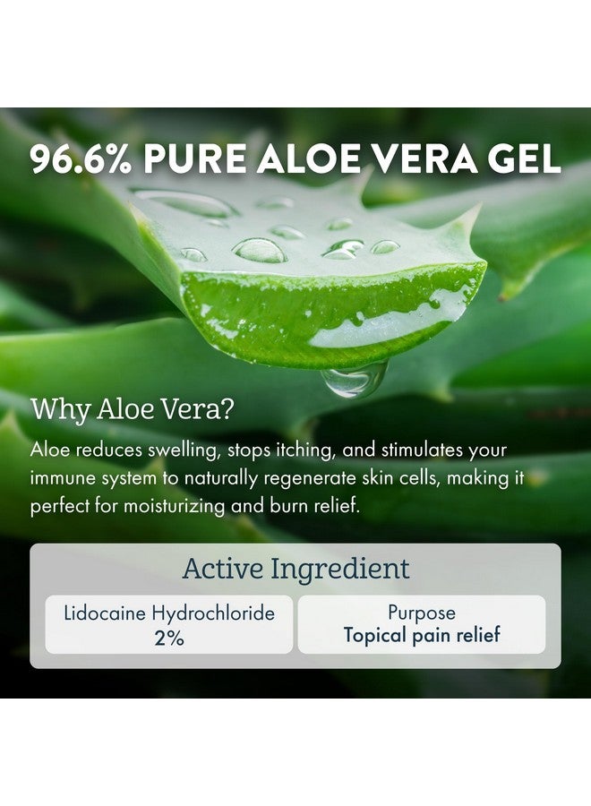 Aloe Ice Sunburn Relief Jelly With 96.6% Pure Aloe Vera Gel Face And Body Organic After Sun Gel For Adults & Kids Allnatural Skin Lotion Reef Safe Alcohol And Fragrancefree 4 Oz