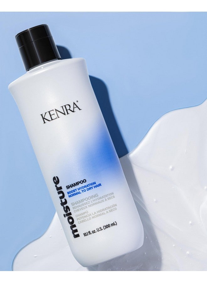 Moisture Shampoo Boost Hydration Improve Manageability And Shine Nourish Dry Hair Color Safe Efforless Detangling Normal To Dry Hair 10.1 Fl. Oz.