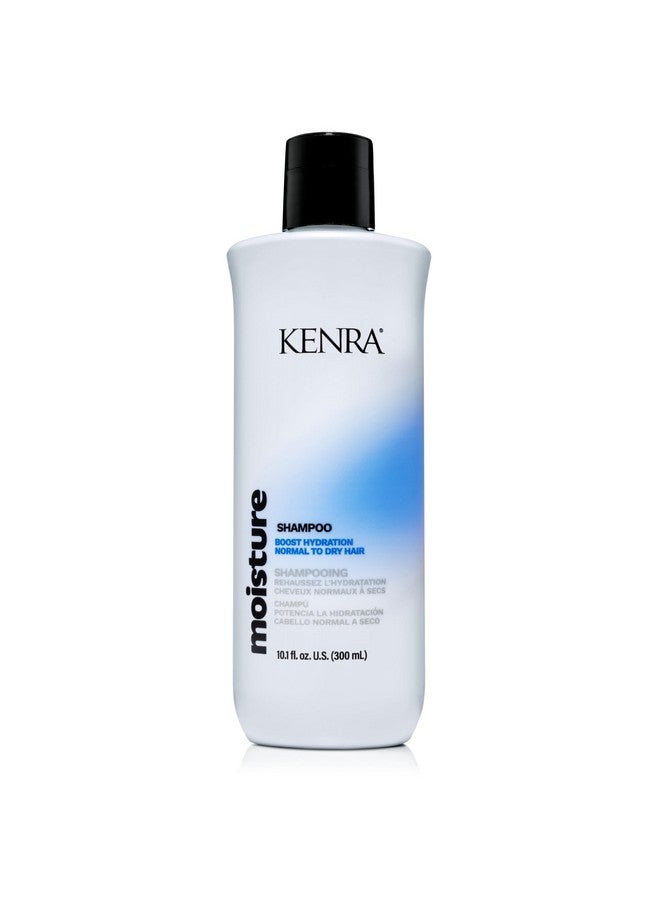 Moisture Shampoo Boost Hydration Improve Manageability And Shine Nourish Dry Hair Color Safe Efforless Detangling Normal To Dry Hair 10.1 Fl. Oz.