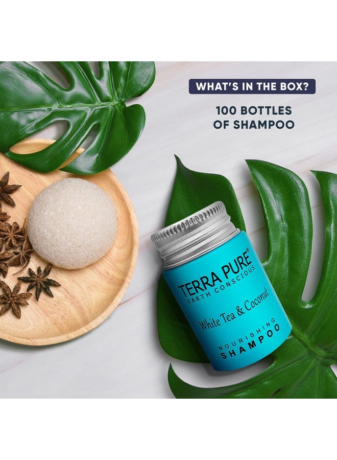 White Tea & Coconut Shampoo Travel Size Hotel Amenities 1 Oz. (Case Of 100)