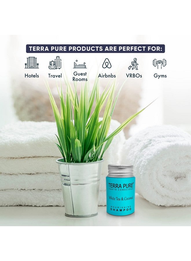 White Tea & Coconut Shampoo Travel Size Hotel Amenities 1 Oz. (Case Of 100)
